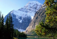 爱游戏地址-阿联酋球队斩获决赛入场券，决战冠军