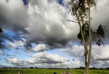 门兴格拉德巴赫突降级区，意外连败困扰球队前景堪忧，门兴格拉德巴赫官网商城