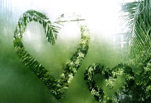 门兴格拉德巴赫突降级区,意外连败困扰球队前景堪忧,门兴格拉德巴赫官网商城