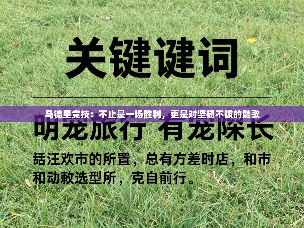 马德里竞技：不止是一场胜利，更是对坚韧不拔的赞歌  第2张