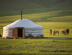 蒙古男篮不敌加拿大队，男篮世界杯征程告终