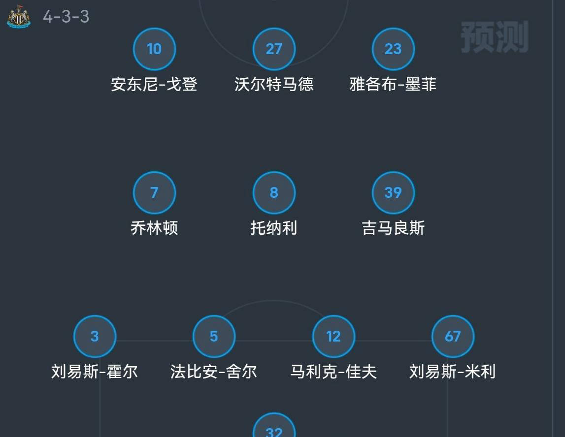 纽卡斯尔主场不敌对手，保级形势严峻的简单介绍